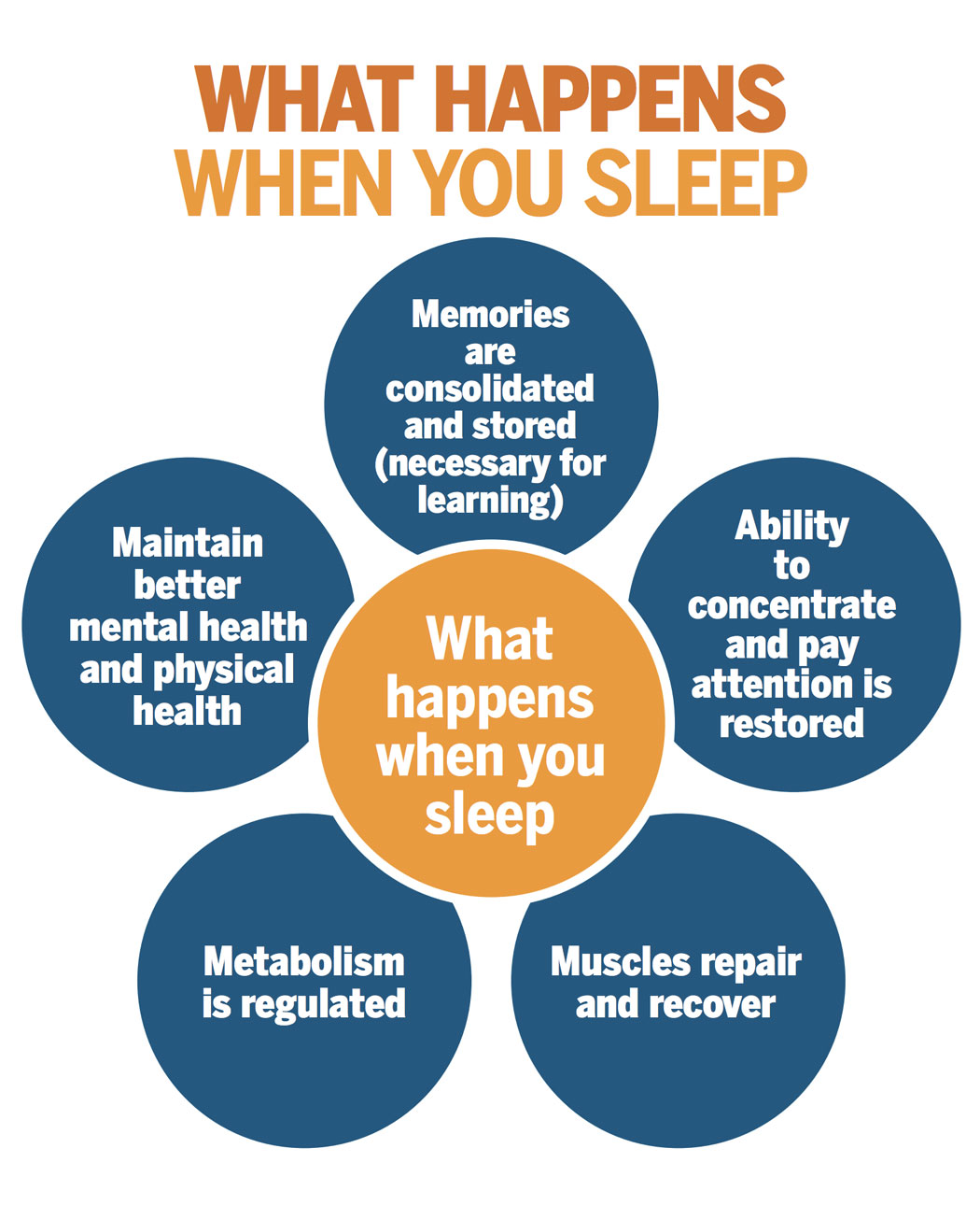 What happens when you sleep.
Memories are consolidated and stored (necessary for learning).
Ability to concentrate and pay attention is restored.
Muscles repair and recover.
Metabolism is regulated.
Maintain better mental health and physical health.
