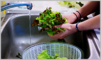 foodborne illnesses and washing fresh produce